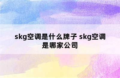 skg空调是什么牌子 skg空调是哪家公司